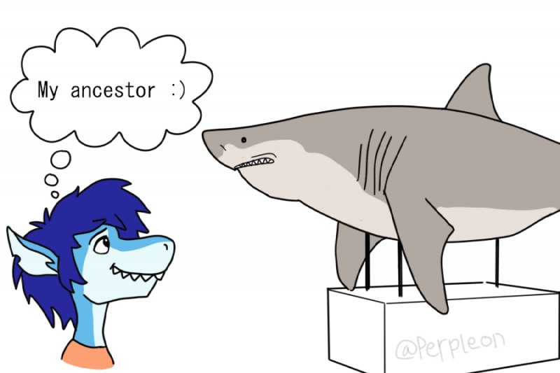 anthro clothed clothing dialogue hair humor joke male simple_background smile solo teeth text perpleon fish marine shark 2019 3:2 digital_media_(artwork) english_text meme