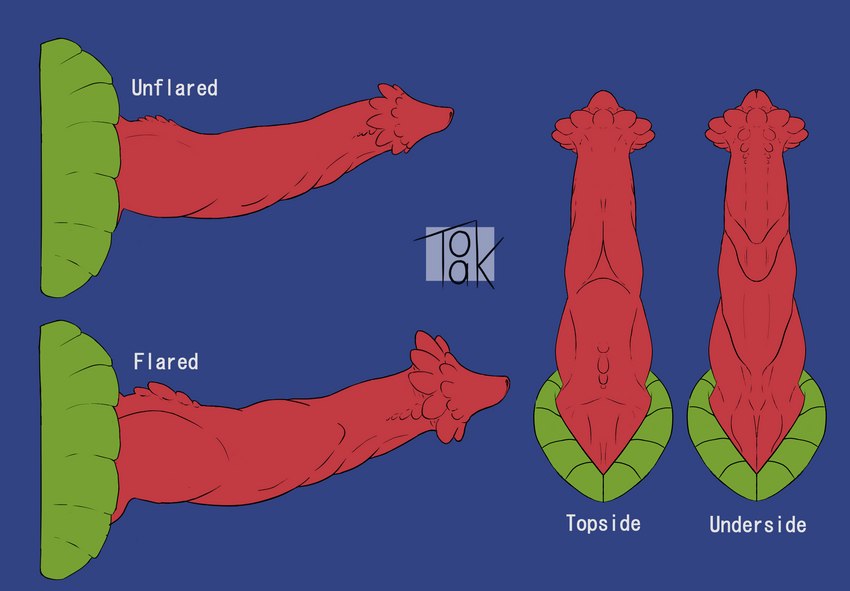 animal_genitalia becoming_erect erection expansion feral flared_penis genital_expansion genital_focus genitals knot male nubbed_penis penis penis_expansion penis_focus penis_sheet red_penis simple_background solo text verieknoodlederg mythology tyrmendrang dragon mythological_creature mythological_scalie reptile scalie tropical_dragon 2019 english_text hi_res model_sheet