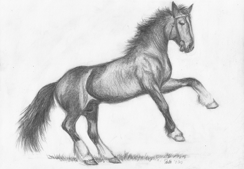 animal_genitalia balls bridle feral genitals grass grey_sclera hooves leg_markings looking_at_viewer male markings no_pupils on_hind_legs plant quadruped sheath socks_(marking) solo foxia equid equine horse mammal graphite_(artwork) greyscale monochrome traditional_media_(artwork)