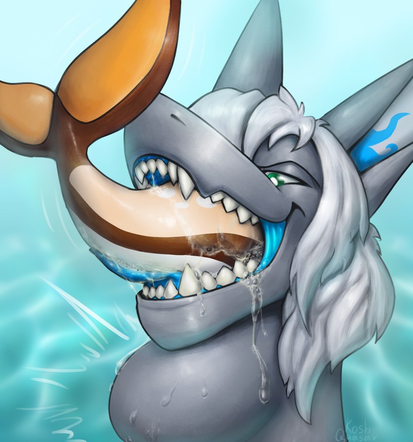 anthro bodily_fluids duo eating grey_body grey_hair grey_skin hair in_mouth male markings neck_bulge open_mouth saliva solo tan_body tan_skin teeth vore water koshquasar bow_(bowhuskers) fish marine shark hi_res