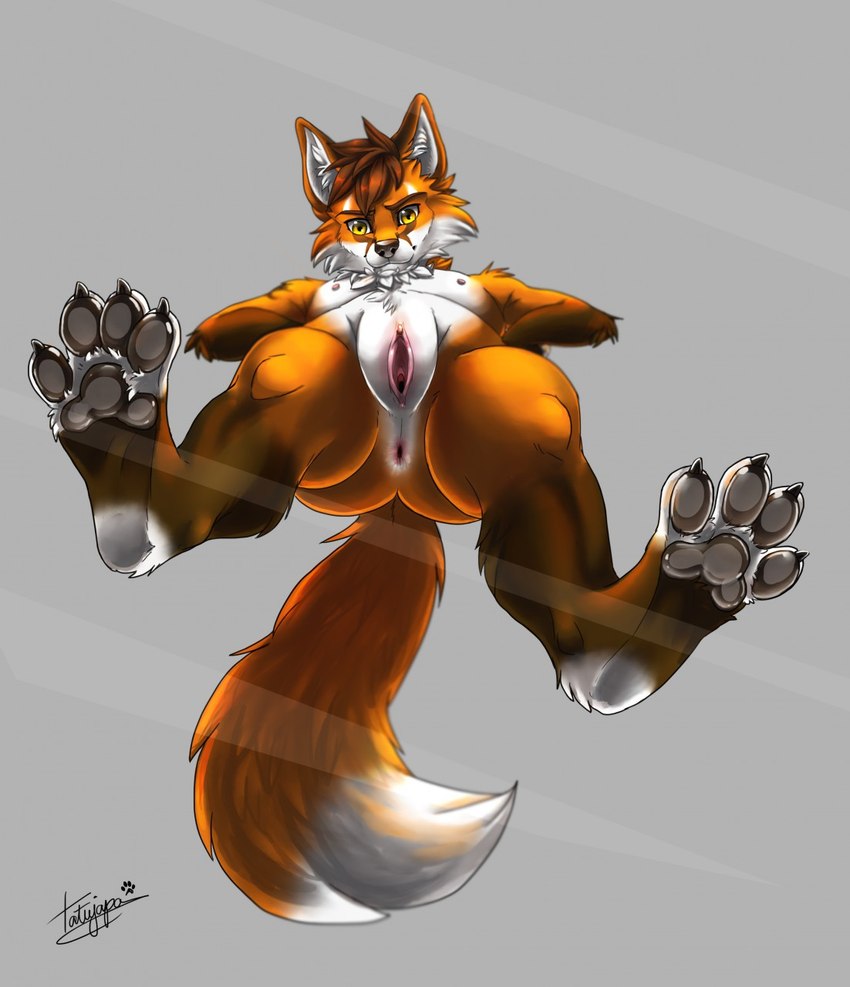 4_toes andromorph anthro anus black_claws black_pawpads claws countershading feet foot_focus genitals glass grey_pawpads intersex looking_at_viewer low-angle_view pawpads paws pussy solo standing_on_glass toe_claws toes worm's-eye_view tatujapa werefox_(character) canid canine fox mammal hi_res