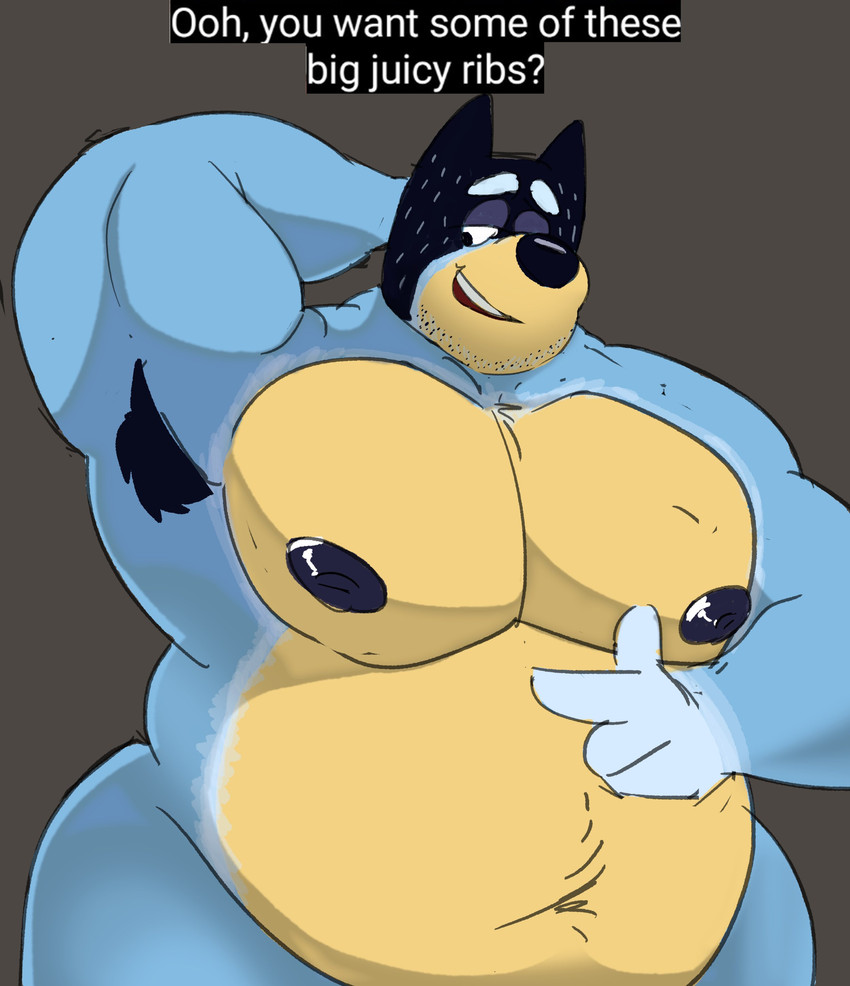 anthro areola armpit_hair belly biceps big_belly big_muscles big_pecs black_nose blue_body blue_fur body_hair dialogue eyebrows facial_hair fur gesture hand_behind_head hand_gesture huge_muscles looking_down love_handles male mature_anthro mature_male musclegut muscular muscular_anthro muscular_male navel open_mouth overweight overweight_anthro overweight_male pecs pointing raised_eyebrows simple_background smile solo standing stubble teeth text tongue yellow_body yellow_fur sosososleazy bluey_(series) bandit_heeler australian_cattle_dog canid canine canis cattledog domestic_dog herding_dog mammal pastoral_dog 2020 absurd_res english_text hi_res portrait three-quarter_portrait