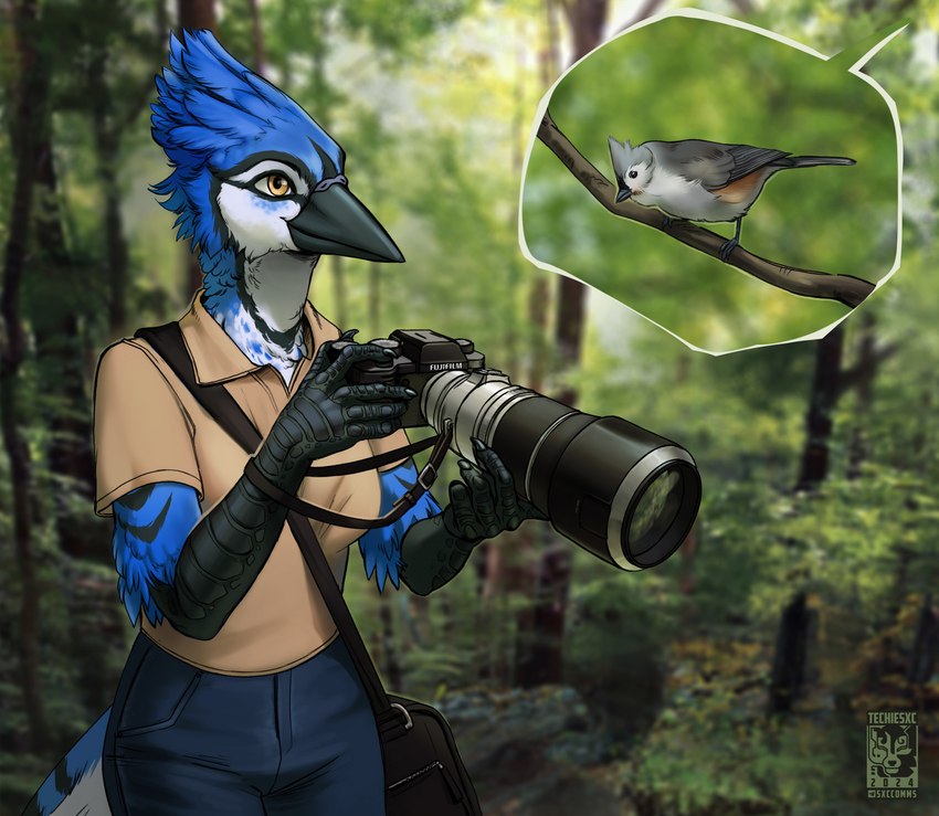 ambiguous_gender anthro bag bird_watching blurred_background branch camera claws duo female feral forest plant purse stick tree techiesxc avian bird blue_jay corvid jay_(bird) new_world_jay oscine passerine tit_(bird) titmouse_(bird) tufted_titmouse digital_media_(artwork) hi_res painting_(artwork)