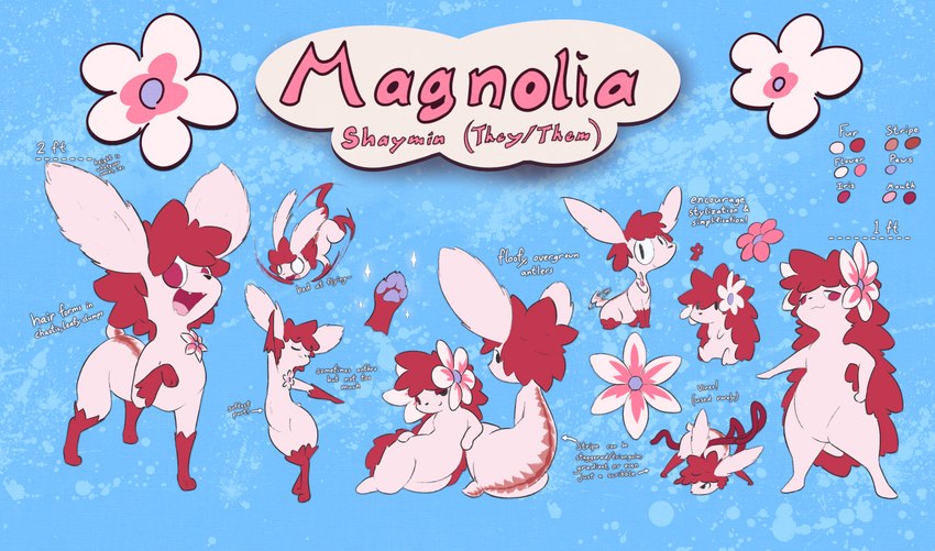 ambiguous_gender anthro feral flower paws plant semi-anthro solo muzzzzz nintendo pokemon magnolia_(shaymin) generation_4_pokemon land_forme_shaymin legendary_pokemon pokemon_(species) shaymin sky_forme_shaymin absurd_res hi_res model_sheet herm_(lore) nonbinary_(lore)