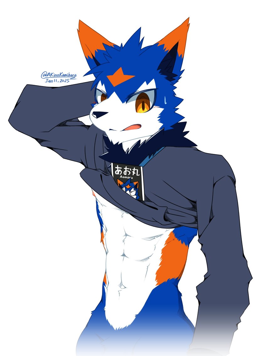 abs amber_eyes anthro athletic athletic_male black_nose blue_body blue_fur bodily_fluids bottomless clothed clothing clothing_lift confusion fur hand_behind_own_head hoodie hoodie_lift hoodie_only id_card male multicolored_body multicolored_fur navel nipples orange_body orange_fur orange_marks simple_background solo sweat sweatdrop text topwear topwear_only white_background white_body white_fur akino-kamihara production_taiikukan aomaru mammal 3:4 absurd_res hi_res japanese_text