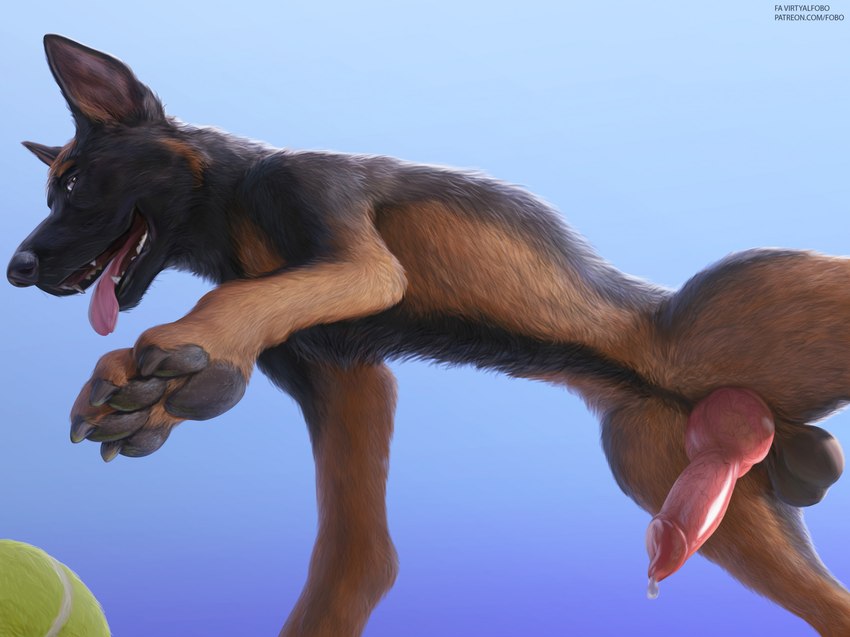 anatomically_correct animal_genitalia animal_penis ball balls bodily_fluids canine_genitalia canine_penis claws dripping erection feral fur genital_fluids genitals knot looking_at_viewer looking_down low-angle_view male open_mouth pawpads paws penis precum precum_drip raised_paw realistic_feral smile solo teeth tennis_ball text tongue tongue_out virtyalfobo harper_(harpershep) canid canine canis domestic_dog german_shepherd herding_dog mammal pastoral_dog digital_media_(artwork) hi_res url