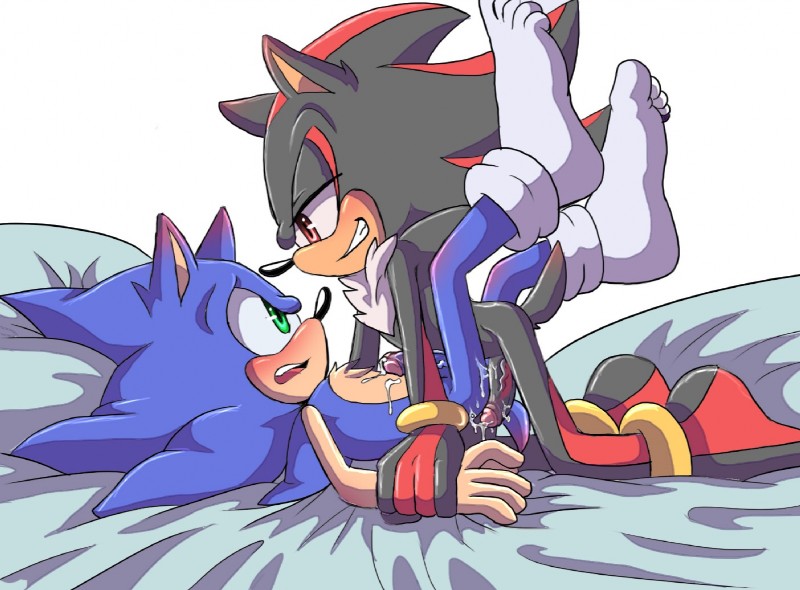 shadow the hedgehog and sonic the hedgehog (sonic the hedgehog (series) and etc) created by angelofhapiness