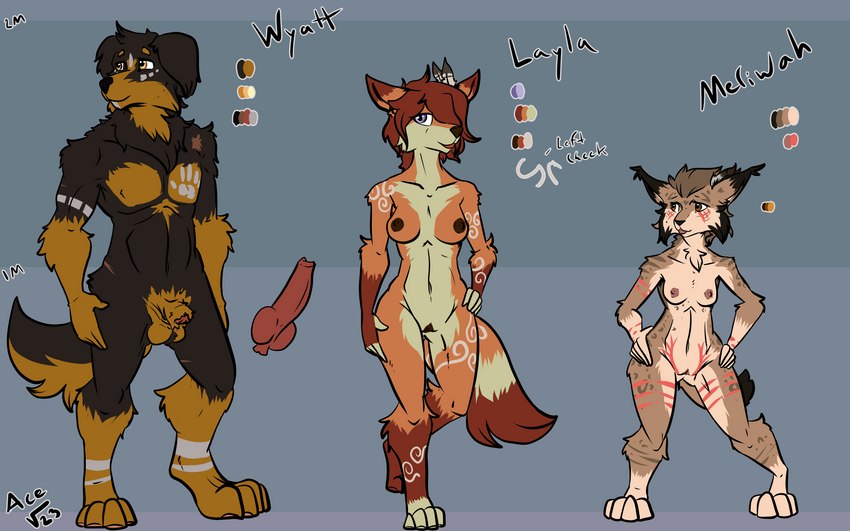 anthro breasts feathers female genitals group knot male male/female nipples nude size_difference tattoo trio acev layla_(acev) meriwah wyatt_(acev) canid canine canis domestic_dog felid feline hovawart lynx mammal wolf 16:10 absurd_res hi_res model_sheet widescreen