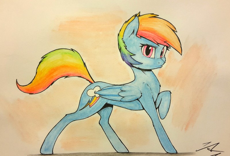 rainbow dash (friendship is magic and etc) created by pudgeruffian