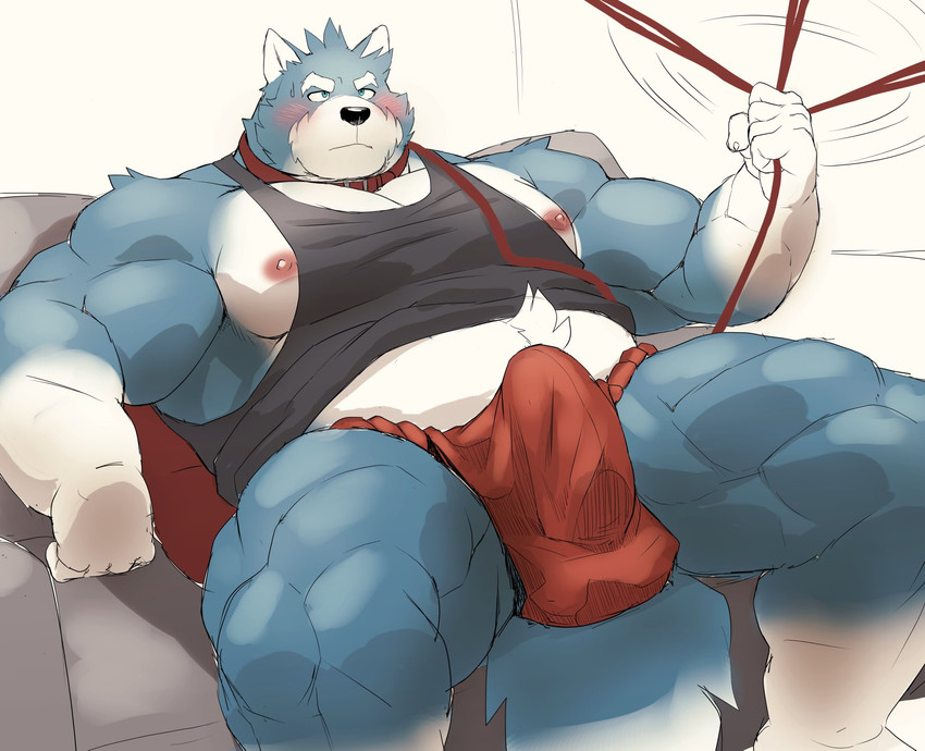 anthro asian_clothing balls_outline black_nose blue_body blue_fur blush bulge clothed clothing detailed_bulge east_asian_clothing erection erection_under_clothing fundoshi fur furniture genital_outline japanese_clothing kemono male musclegut muscular overly_muscular penis_outline sitting sofa solo underwear white_body white_fur mti777 canid canine canis domestic_dog mammal 2021 hi_res