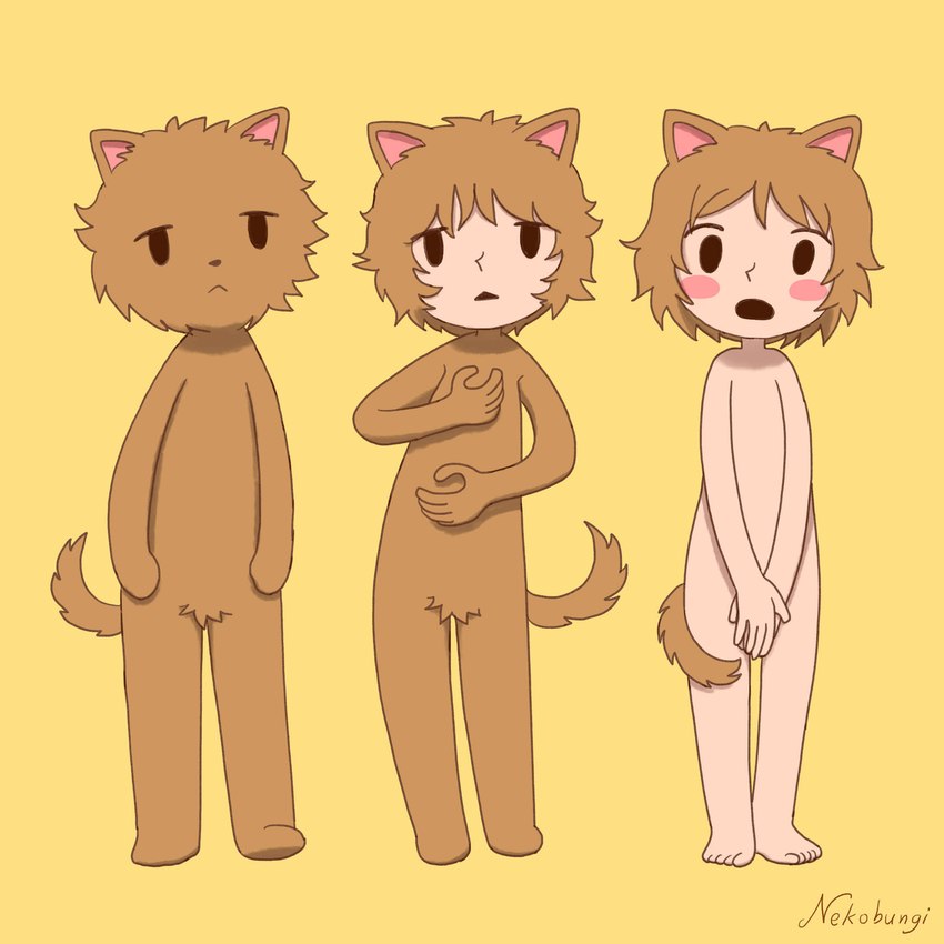 anthro anthro_to_humanoid covering covering_crotch female nude solo species_transformation transformation nekobungi animal_humanoid cat_humanoid domestic_cat felid felid_humanoid feline feline_humanoid felis humanoid mammal mammal_humanoid 1:1 absurd_res hi_res