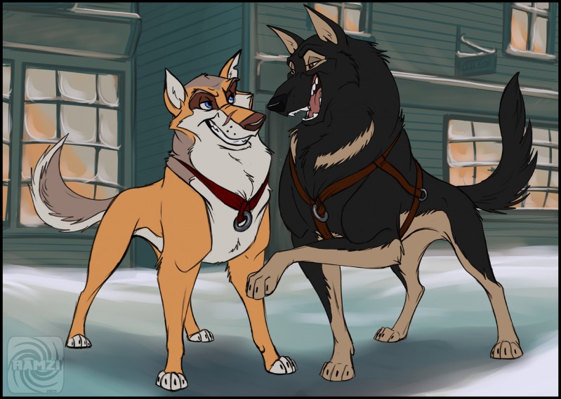 black_border border duo feral harness male snow street ramzi balto_(series) universal_studios sevota streetdog canid canine canis chinook_(dog) domestic_dog german_shepherd herding_dog mammal nordic_sled_dog pastoral_dog spitz hi_res