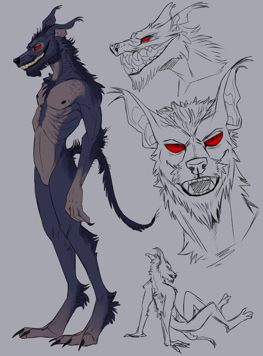 anthro arm_tuft beard black_nose blue_beard blue_body blue_ears blue_facial_hair blue_fur chest_tuft digitigrade elbow_tuft facial_hair featureless_crotch fur grey_body grey_fur grey_inner_ear grin head_tuft male narrowed_eyes neck_tuft nude red_eyes smile solo standing tuft imperatorcaesar canid mammal absurd_res hi_res model_sheet sketch