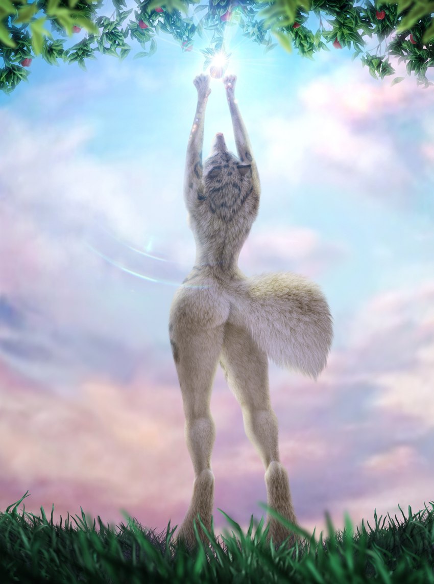 anthro athletic athletic_anthro athletic_female big_butt biped breasts butt cloud digitigrade exposure_variation featureless_breasts female female_anthro fluffy fluffy_tail fur fur_markings grass lens_flare low-angle_view markings nude nude_anthro nude_female pawpads paws plant pose reaching realistic_anthro rear_view sky skyscape small_breasts solo standing stretching sun tail tan_body tan_fur tan_nose tan_pawpads thick_thighs white_body white_fur worm's-eye_view jocarra nilo_(cardinilo) arctic_wolf canid canine canis clouded_leopard felid mammal pantherine wolf absurd_res digital_media_(artwork) hi_res shaded soft_shading