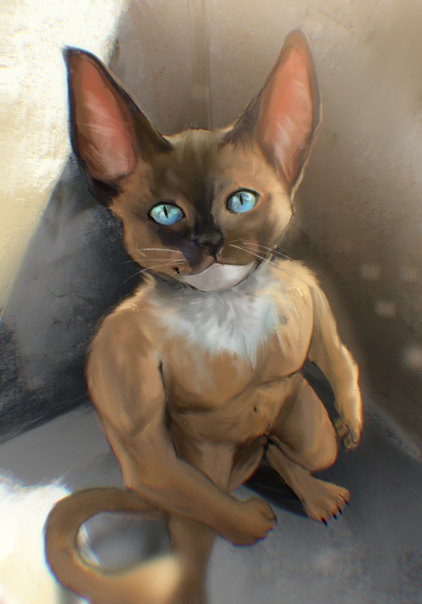 anthro blue_eyes brown_body brown_fur chromatic_aberration concrete foreshortening fur high-angle_view looking_at_viewer male solo whiskers stampmats domestic_cat felid feline felis mammal digital_media_(artwork) digital_painting_(artwork) full-length_portrait hi_res portrait