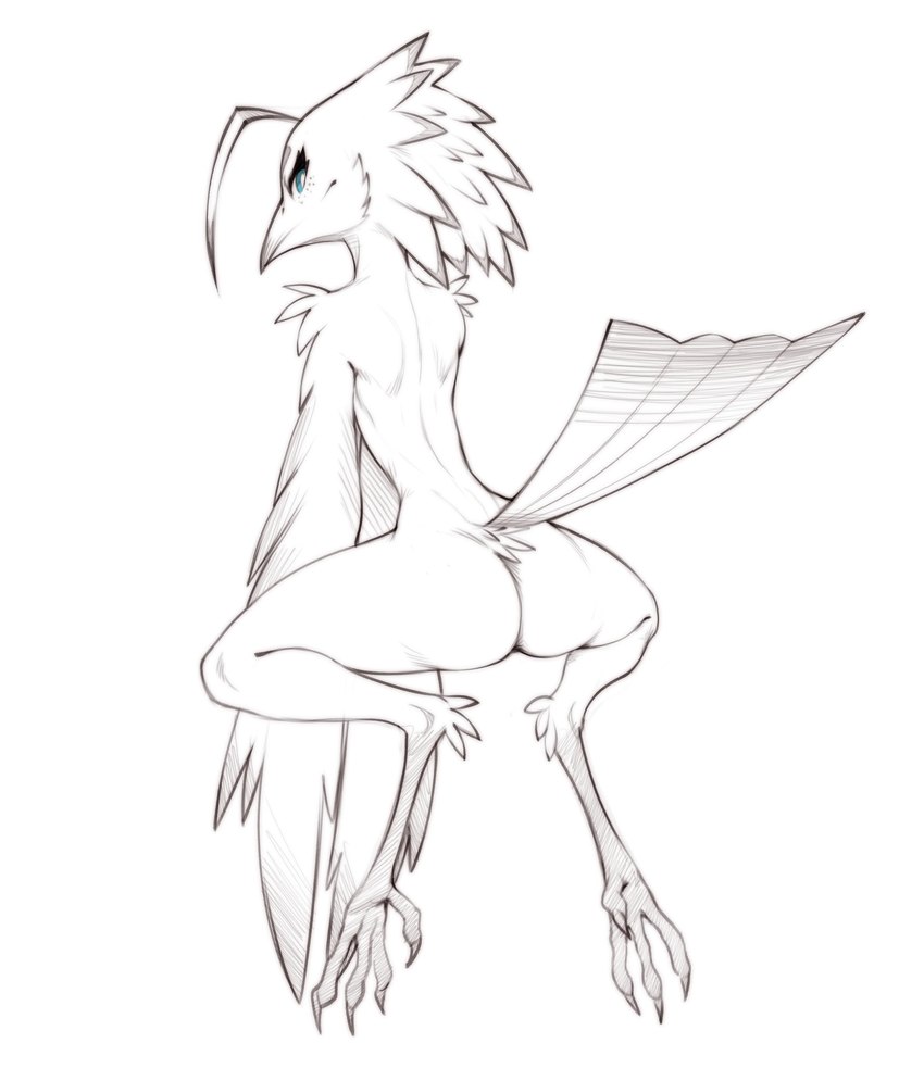 anthro avian_feet blue_eyes butt feathers feet female hair looking_at_viewer nude presenting simple_background solo tail tail_feathers talons toes w4g4 lyra_(w4g4) avian bird potoo absurd_res hi_res