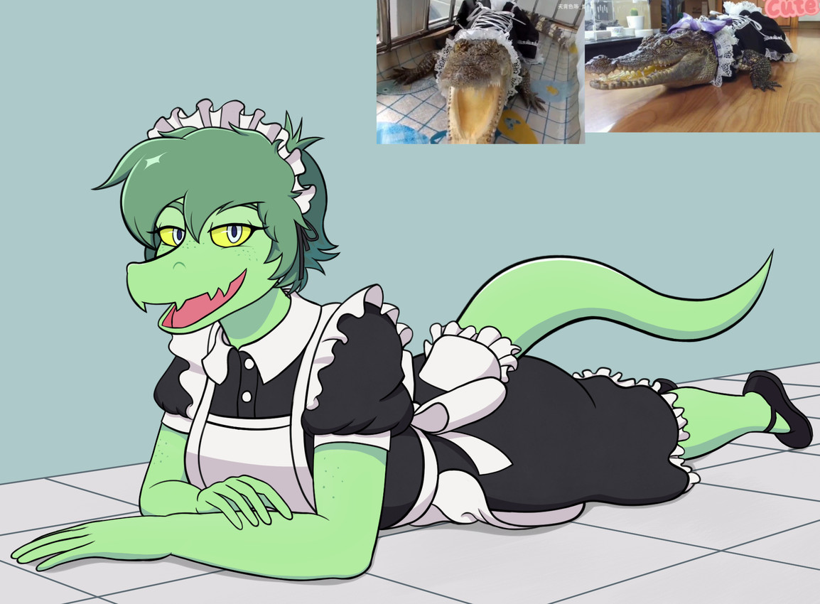 alternate_costume anthro bedroom_eyes biped breasts clothed clothed_anthro clothed_female clothed_feral clothing female feral fingers footwear freckled_face freckles furgonomics green_body green_hair green_scales grey_background grey_eyes hair humanoid_hands looking_at_viewer lying maid_uniform medium_hair narrowed_eyes non-mammal_breasts on_front on_ground open_mouth open_smile plantigrade quadruped real scales seductive shoes simple_background smile solo three-quarter_view uniform yellow_sclera big_daddy_(artist) cavemanon_studios i_wani_hug_that_gator olivia_halford alligator alligatorid baryonyx crocodilian dinosaur prehistoric_species reptile scalie spinosaurid theropod 2025 hi_res reference_image shaded