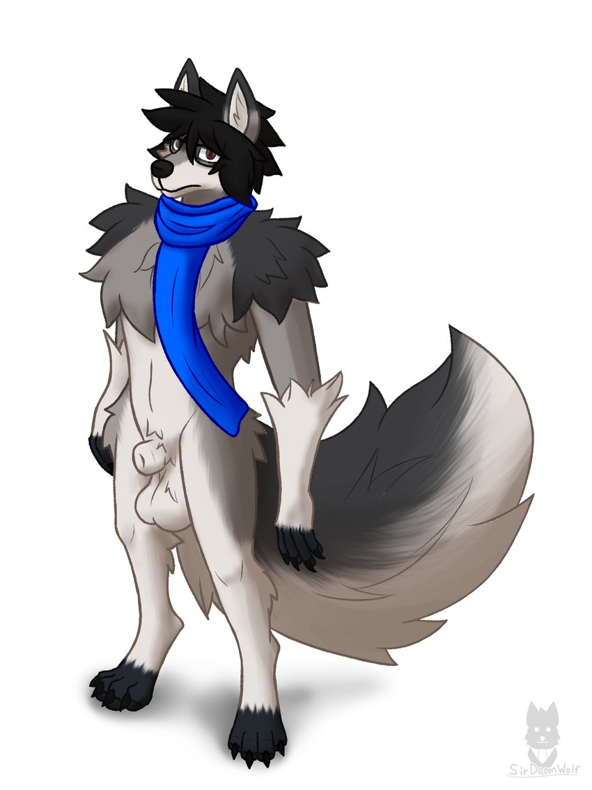 animal_genitalia anthro balls eyewear fluffy fluffy_tail genitals glasses hair male nude scarf sheath simple_background solo tail sirdoomwolf void_doomwolf canid canine canis mammal wolf 3:4 hi_res