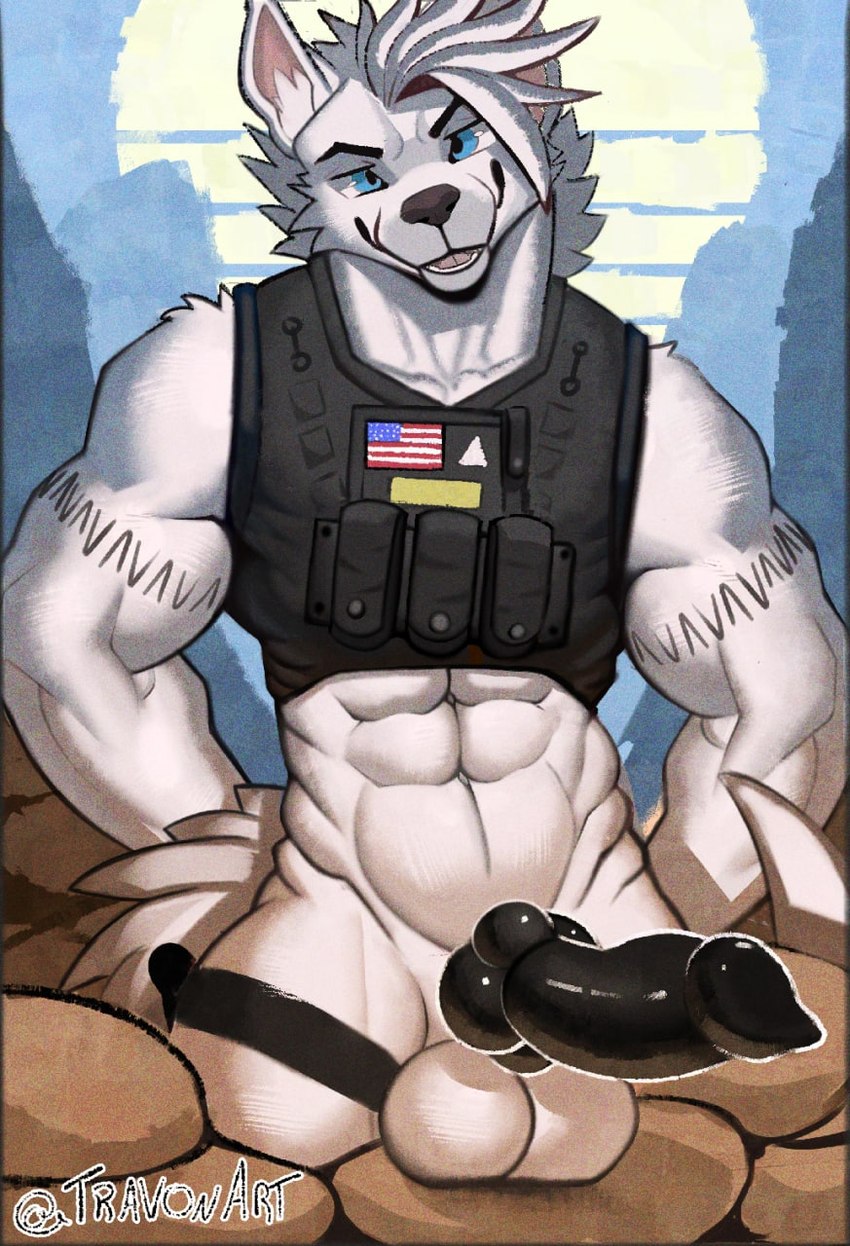 abs animal_genitalia animal_penis anthro balls big_penis biped black_penis blue_eyes bottomless bottomless_anthro bottomless_male bulletproof_vest canine_genitalia canine_penis clothed clothing erection fur genitals hair knot looking_at_viewer male muscular muscular_anthro muscular_male obliques penis sandbag sandbags smile solo white_balls white_body white_fur white_hair travon alex_patterson canid canine canis mammal wolf 2022 digital_media_(artwork) hi_res