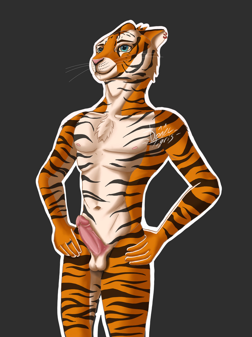 anthro balls blue_eyes erection genitals hands_on_hips humanoid_genitalia humanoid_penis male nipples nude penis piercing solo donec_tigris jason_tigris felid mammal pantherine tiger absurd_res hi_res