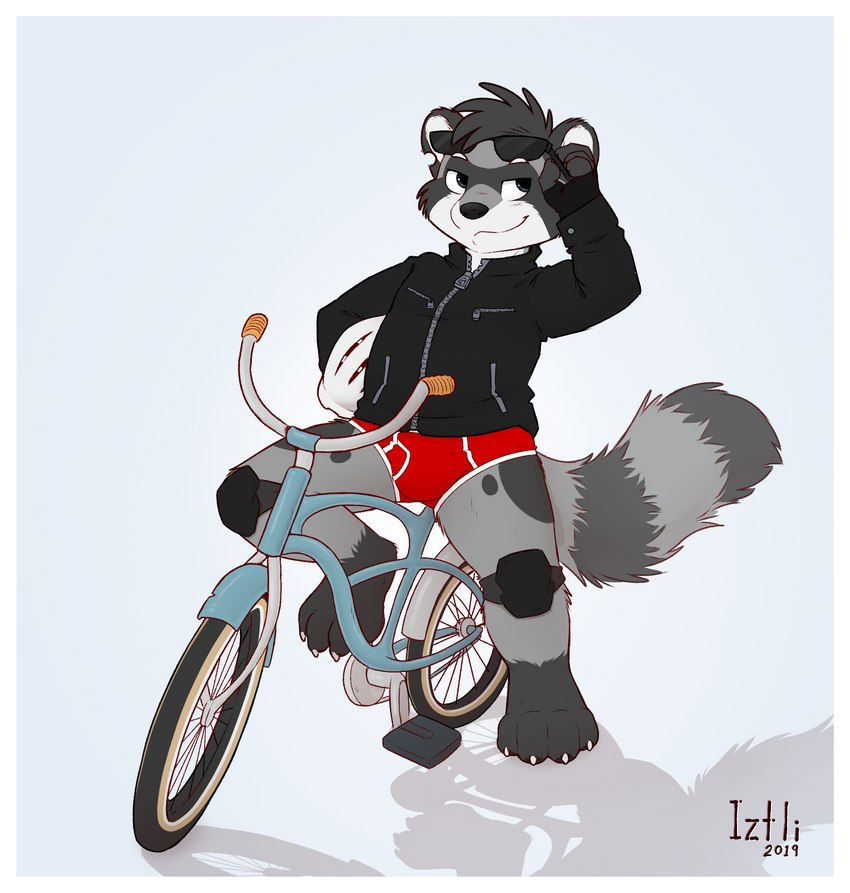 anthro bicycle border briefs bulge clothing colored_seam_underwear cycling male red_briefs red_clothing red_underwear shota simple_background smile solo underwear vehicle white_background white_border white_seam_underwear young young_anthro young_male iztli mammal procyonid raccoon 2019 hi_res signature