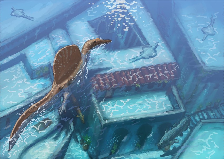 ambiguous_gender bird's-eye_view brown_body brown_scales building city claws day feral fin group head_crest high-angle_view outside partially_submerged plant sail scales steps swimming tail tail_fin water knuppitalism coelacanth dinosaur fish lobe-finned_fish marine prehistoric_species ray_(fish) reptile sawfish scalie spinosaurid spinosaurus theropod hi_res