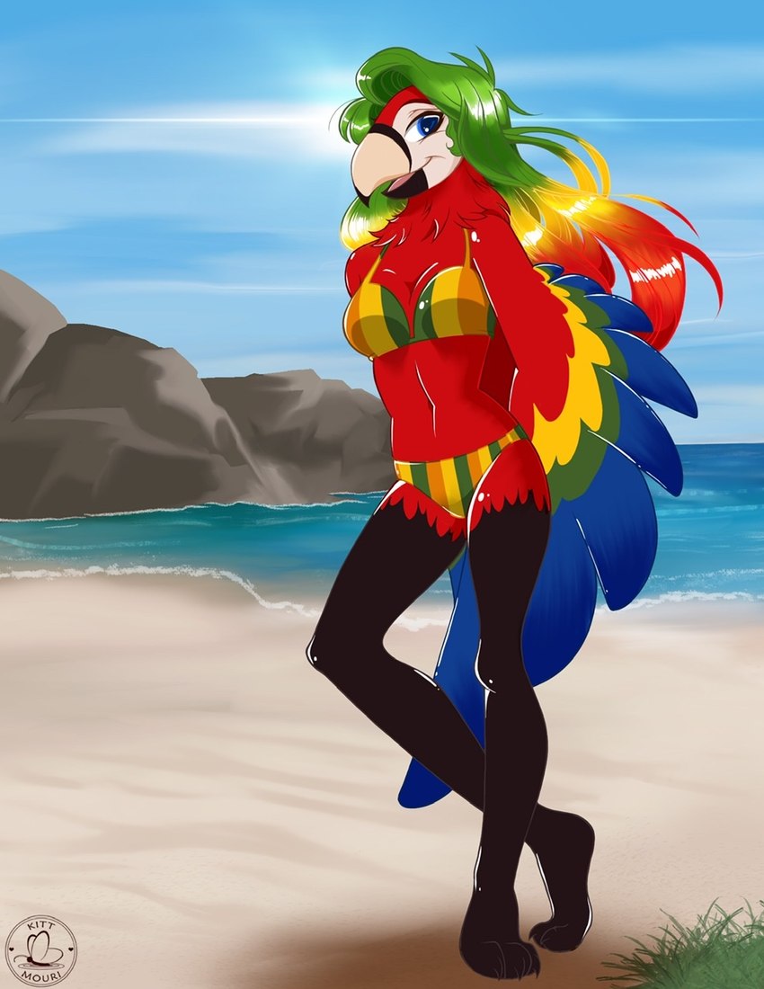 anthro beach bikini clothing female sea seaside solo swimwear two-piece_swimsuit water kittmouri avian bird macaw neotropical_parrot parrot true_parrot hi_res