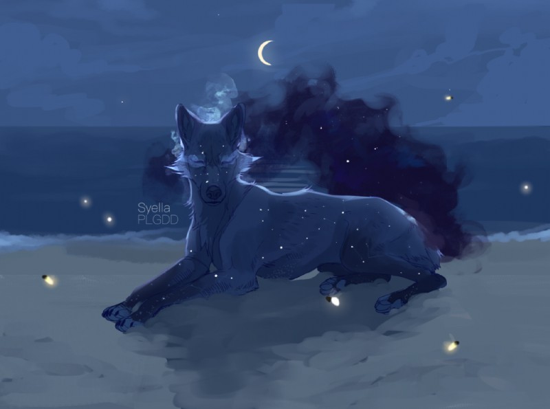 ambiguous_gender beach detailed_background feral fur lying night on_front outside quadruped sand seaside sky solo sparkles starry_fur water plgdd ambient_arthropod ambient_firefly ambient_insect arthropod beetle canid canine elateroid firefly insect mammal digital_media_(artwork) digital_painting_(artwork)