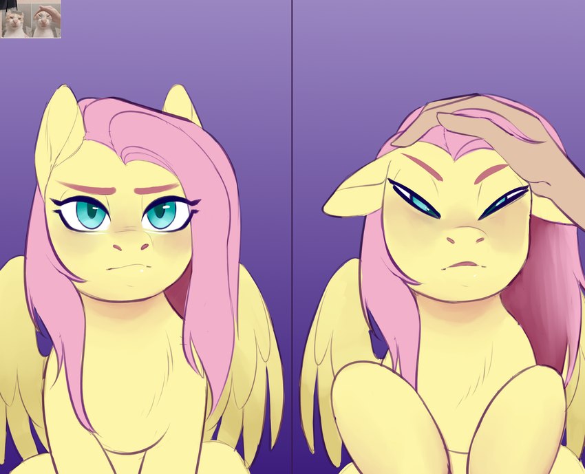 blue_eyes female feral fur hair headpat narrowed_eyes pink_hair reference_image wings yellow_body yellow_fur evlass friendship_is_magic hasbro my_little_pony mythology fluttershy_(mlp) equid equine mammal mythological_creature mythological_equine pegasus absurd_res hi_res meme