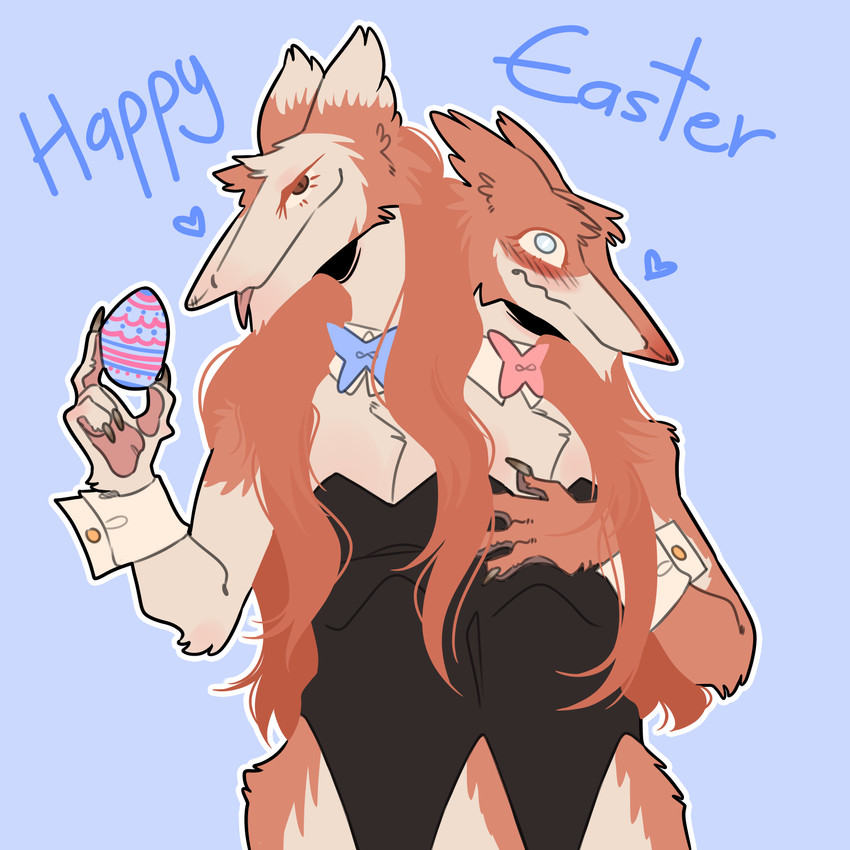 2_heads anthro blind blue_background blush bodysuit clothing disability easter_egg egg embarrassed femboy flustered fur hair hand_on_chest holidays long_hair male multi_head playboy_outfit red_body red_fur shy simple_background skinsuit solo tan_body tan_fur tight_clothing hamham_gd easter futago_and_antifutago sergal 1:1 hi_res