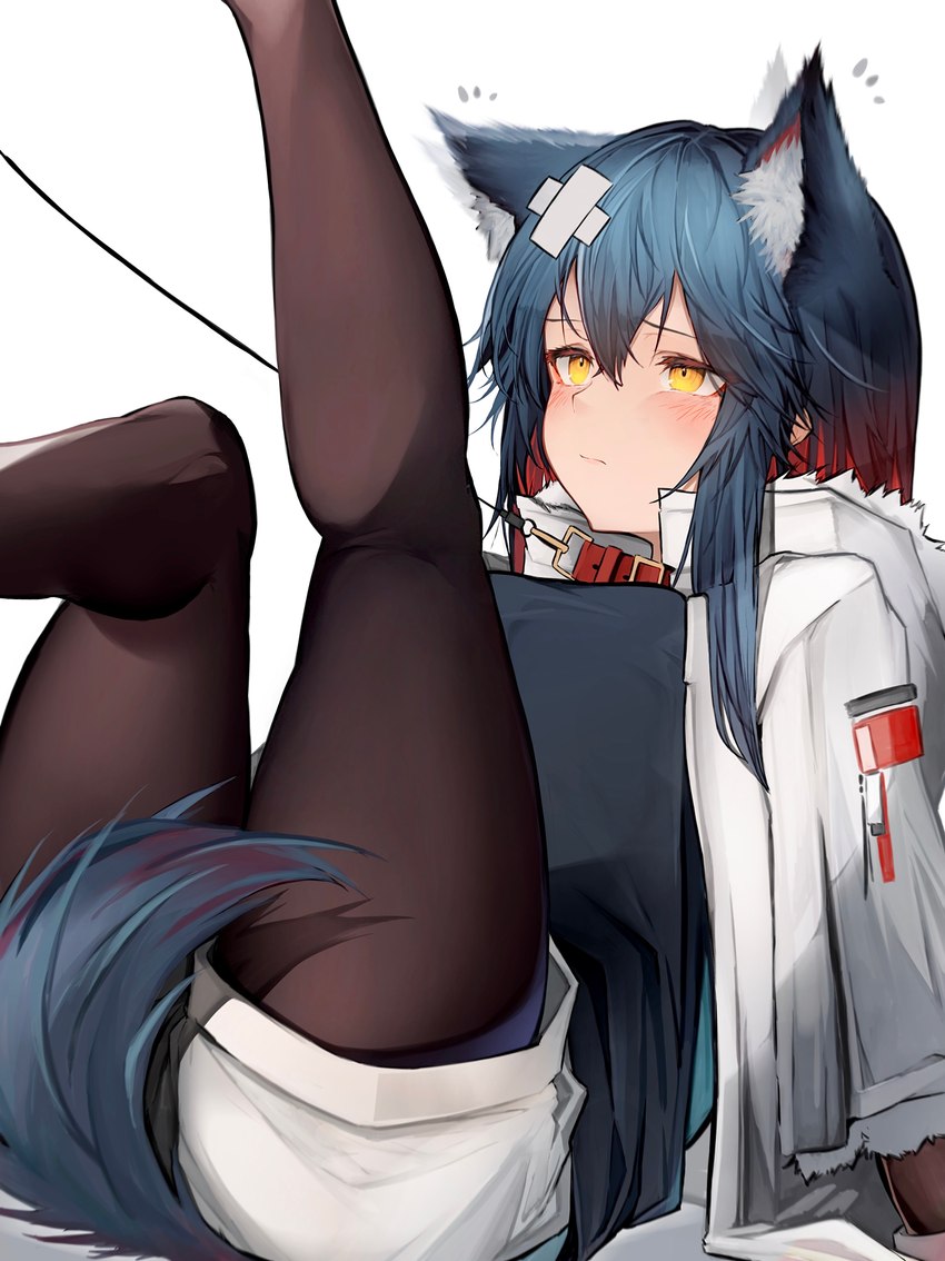 bandage blue_body blue_fur blue_hair blush bottomwear breasts clothed clothing collar female female_humanoid fluffy_ears fur hair inner_ear_fluff jacket leaning leaning_backward leash legs_up legwear looking_at_viewer multicolored_hair on_ground red_hair shorts simple_background solo stockings tail topwear tuft white_background white_body white_fur yellow_eyes tabhead arknights hypergryph studio_montagne texas_(arknights) animal_humanoid canid canid_humanoid canine canine_humanoid dog_humanoid humanoid mammal mammal_humanoid 2021 absurd_res digital_media_(artwork) hi_res