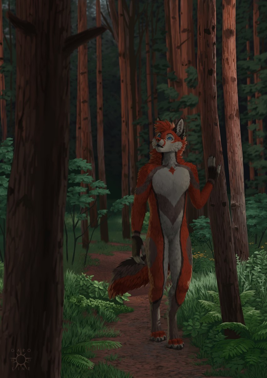 4_toes 5_fingers anthro day detailed_background digitigrade feet fingers forest fur grass hair male outside plant red_body red_fur red_hair solo toes tree white_body white_fur kero_tzuki canid canine fox mammal 2022 digital_media_(artwork) hi_res