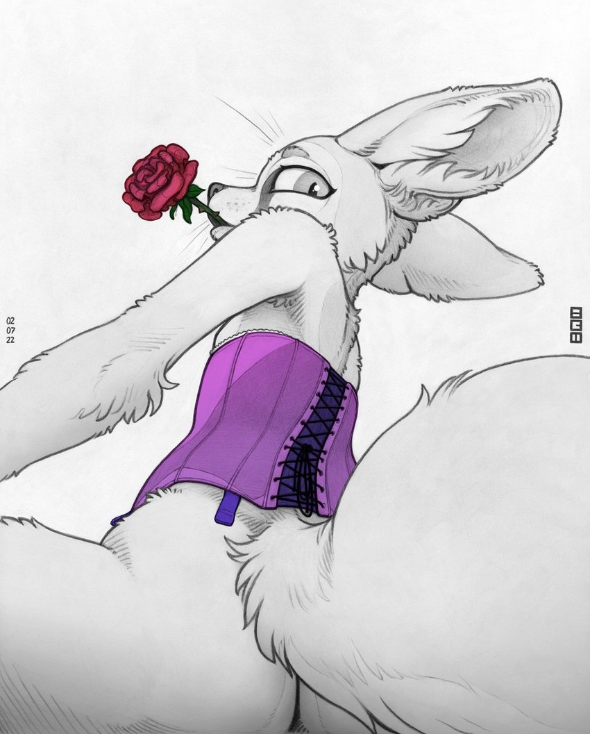 ambiguous_gender anthro bottomless butt clothed clothing corset flower flower_in_mouth inner_ear_fluff lingerie looking_at_viewer low-angle_view mouth_hold one_arm plant rose_(flower) rose_in_mouth simple_background sitting solo topwear tuft whiskers white_background ecmajor river_(ecmajor) canid canine fennec_fox fox mammal true_fox 2022 hi_res signature spot_color traditional_media_(artwork) nonbinary_(lore)