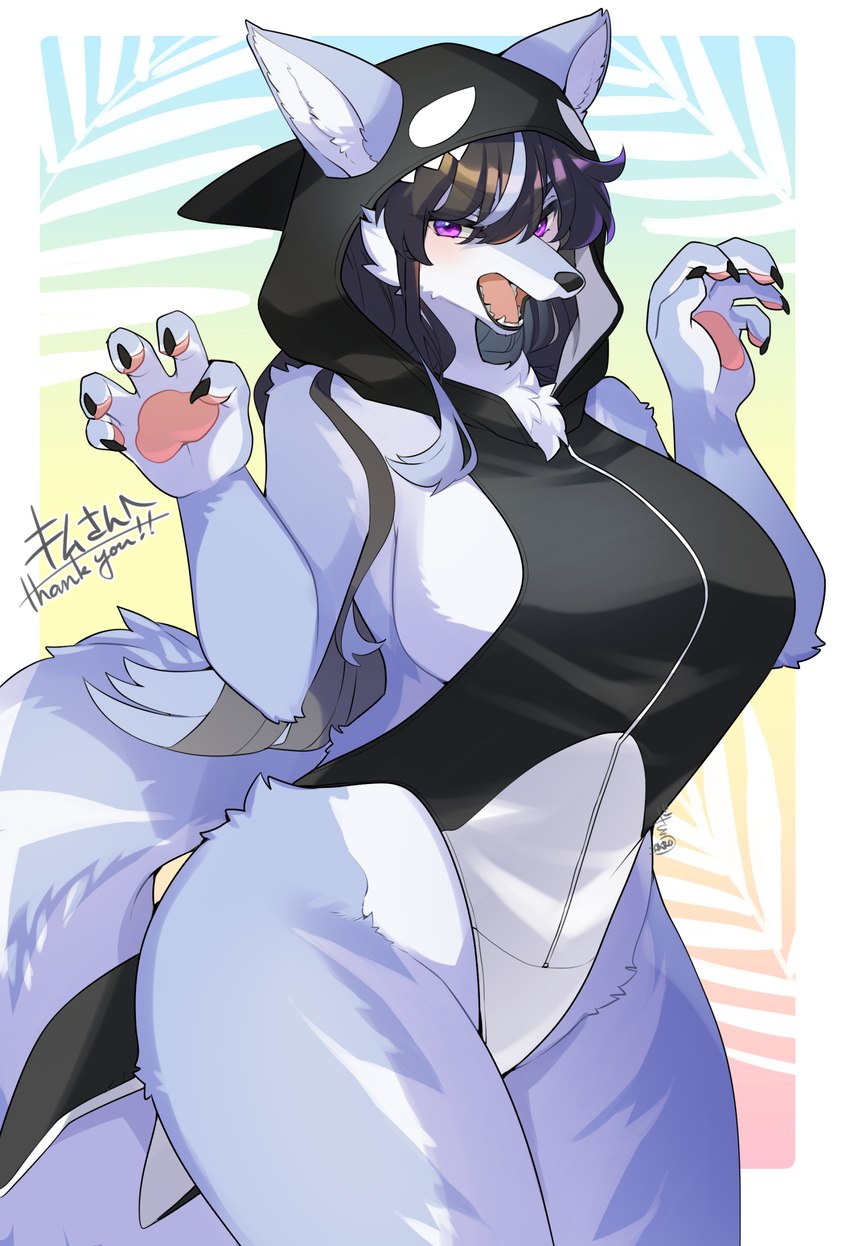 anthro big_breasts black_hair blue_body blue_fur breasts clothed clothing female fur hair kemono looking_at_viewer one-piece_swimsuit open_mouth purple_eyes solo swimwear teeth lemoco ookami-chan_(kim_3022) canid canine canis mammal wolf 2023 absurd_res digital_media_(artwork) hi_res