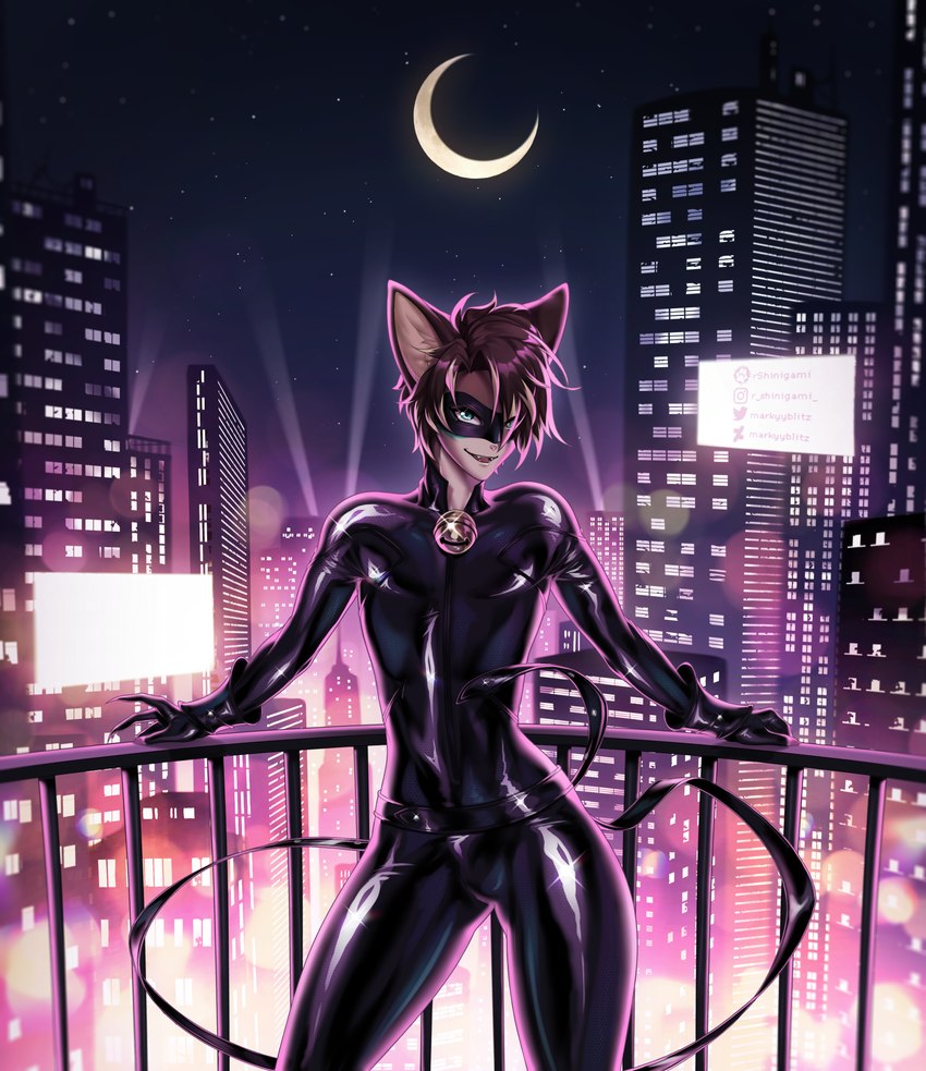 cat noir and neil fluss (miraculous ladybug) created by markyyblitz