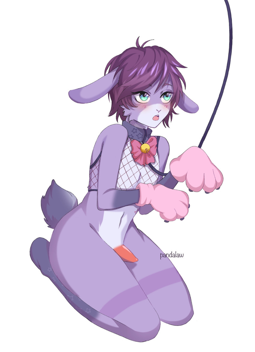 anthro bell bell_bow bell_collar blue_eyes blush bottomless bow_(feature) bow_collar clothed clothing collar decorated_bow femboy fishnet_clothing fishnet_topwear fur genitals gloves hair handwear kneeling leash male navel open_mouth paw_gloves penis print_collar purple_body purple_fur purple_hair simple_background solo star star_collar star_polygon star_print topwear white_background pandalaw lagomorph leporid mammal rabbit 2020 absurd_res digital_media_(artwork) full-length_portrait hi_res portrait