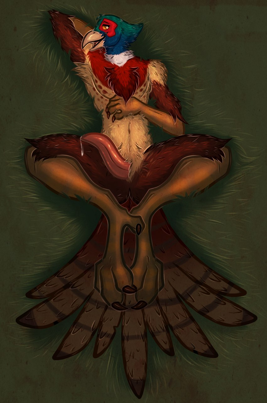 anthro armpit_tuft beak blue_body blue_feathers bodily_fluids brown_body brown_feathers chest_tuft feathers feet genital_fluids genitals green_body green_feathers lying male nude nude_anthro nude_male on_back open_beak open_mouth orange_sclera penis precum red_body red_feathers simple_background solo talon_hands talons tan_body tan_feathers toes tuft yellow_eyes tailtufts avian bird galliform phasianid digital_media_(artwork) hi_res