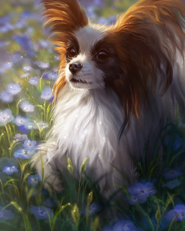 ambiguous_gender black_nose brown_body brown_eyes brown_fur day detailed_background feral flower fur grass outside paws plant solo white_body white_fur tamberella canid canine canis domestic_dog mammal papillon toy_dog 2017 4:5