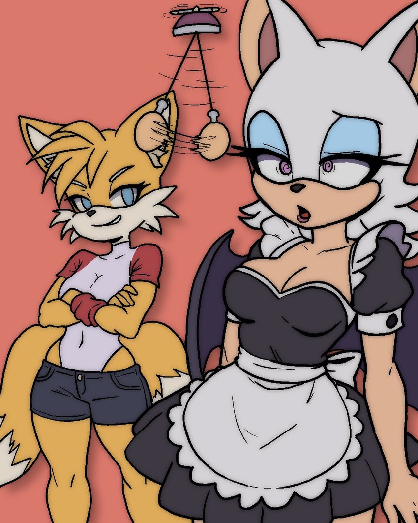 miles prower and rouge the bat (sonic the hedgehog (series) and etc) created by broth nsfw