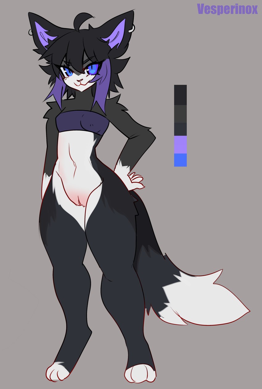 anthro black_body black_fur blue_eyes chest_wraps female fur highlights_(coloring) piercing purple_highlights solo white_body white_fur wraps vesperinox nicole_(skittersqueak) domestic_cat felid feline felis mammal absurd_res hi_res model_sheet