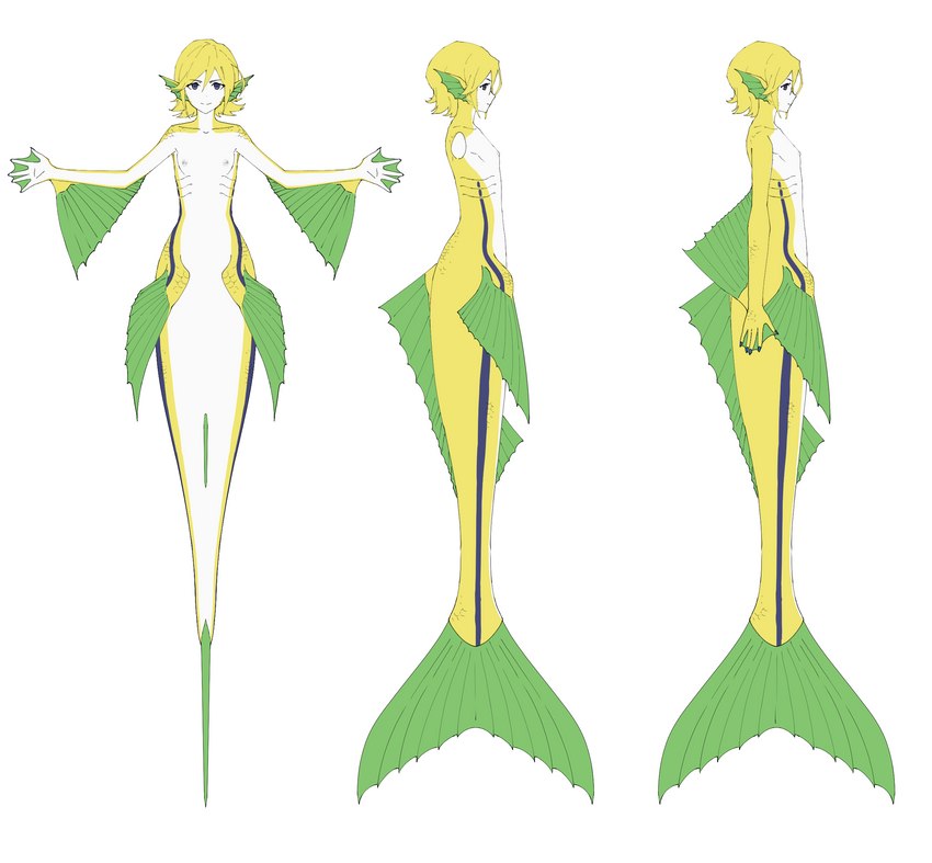 arm_fins blonde_hair blue_eyes dorsal_fin ear_fins female fin flat_chested gills hair hip_fins humanoid_pointy_ears membrane_(anatomy) nipples nude scales short_hair simple_background solo split_form tail tail_fin webbed_hands white_background white_body white_scales yellow_body yellow_scales madiblitz kaname_buccaneer humanoid marine merfolk hi_res model_sheet