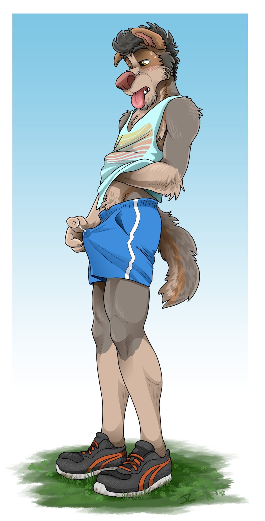 anthro athletic athletic_anthro athletic_male athletic_wear biped blue_background blue_bottomwear blue_clothing blue_shirt blue_shorts blue_tank_top blue_topwear blush bodily_fluids border bottomwear brown_eyes chin_tuft clothed clothing erection_under_bottomwear facial_tuft fur genital_fluids grass grey_body grey_fur grey_hair gym_bottomwear gym_shorts hair hand_under_shirt heat_(temperature) male pink_nose pink_tongue plant plantigrade precum precum_string precum_through_bottomwear precum_through_shorts running_shoes shirt shorts simple_background solo sweat tank_top tongue tongue_out topwear tuft white_border jackaloo mark_(jackaloo) canid canine canis domestic_dog mammal 2023 absurd_res hi_res