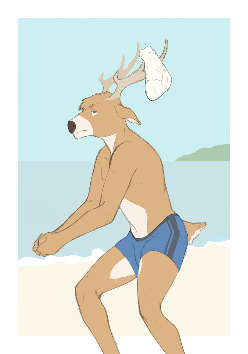 anthro antlers beach clothed clothing horn humor looking_at_viewer male seaside solo sport swimwear topless volleyball water 9x9 deer mammal hi_res