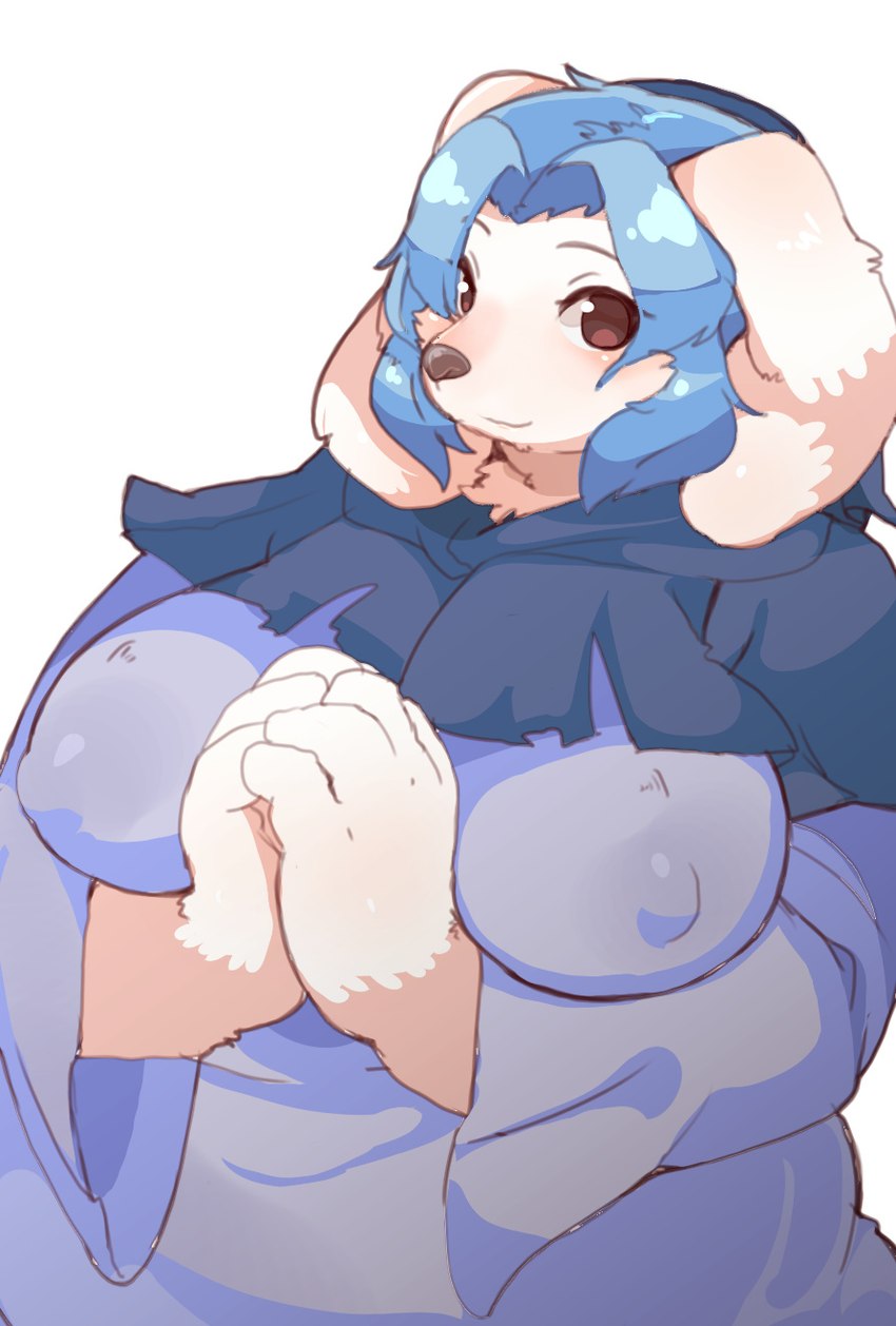 alternate_species anthro big_breasts blue_hair breasts brown_eyes cape clothing covered_nipples female fur furrification hair purple_clothing slightly_chubby solo weight_gain white_body white_fur tennensui cookie_(touhou) touhou flour_(cookie) ichirin_kumoi canid canine canis domestic_dog mammal hi_res