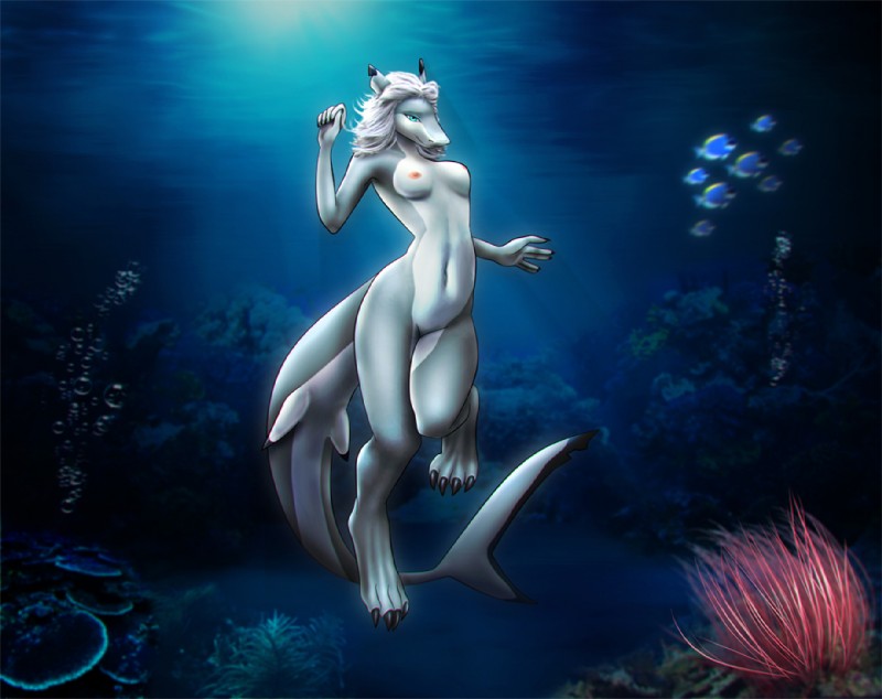 anthro blue_eyes breasts featureless_crotch female grey_body grey_skin hair navel nipples non-mammal_breasts nude solo underwater water finir ryn_iiskra fish marine shark