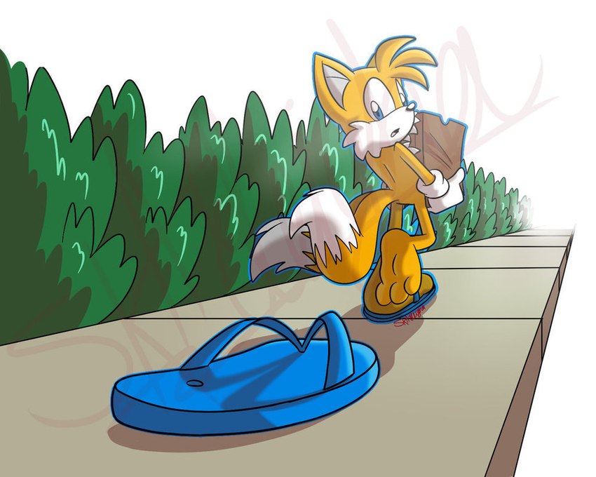 3_toes anthro barefoot blue_outline clothing feet footwear fur gloves groceries handwear hindpaw light male motion_lines outline paws plant sandals shadow shoes shrub simple_background soles solo street toes white_background white_body white_clothing white_fur white_gloves white_handwear yellow_body yellow_fur skaleigha sega sonic_the_hedgehog_(series) miles_prower canid canine fox mammal lighting shaded signature watermark