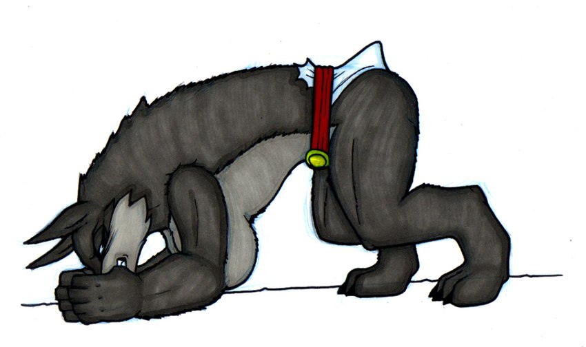 3_toes 5_fingers all_fours alternate_species anthro bald bare_legs bare_shoulders barefoot belt big_breasts black_body black_claws black_fur breasts butt claws clenched_teeth clothed clothing digitigrade discomfort ears_up eyelashes eyes_closed feet female finger_claws fingers fist forced forced_transformation fur grey_body grey_fur huge_breasts intelligence_loss leotard mental_transformation mid_transformation mostly_nude muscular muscular_anthro muscular_female paws side_view simple_background small_tail snout solo species_transformation tail teeth thick_thighs toe_claws toes topless torn_clothing transformation transformation_through_magic white_background ivanks dc_comics mythology power_girl canid canine canis mammal mythological_canine mythological_creature werecanid werecanine werecreature werewolf wolf