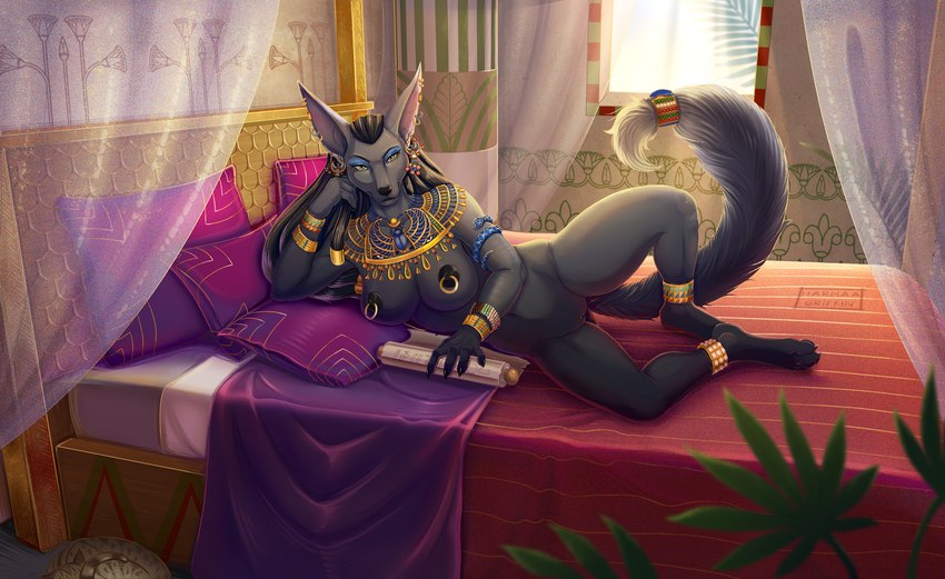 anthro bed bedroom black_body black_nipples bracelet canopy_bed detailed_background ear_piercing ear_ring egyptian eyeshadow female furniture gold_(metal) inviting jewelry lounging lying makeup necklace nipple_piercing nipple_ring nipples on_side piercing ring_piercing solo spread_legs spreading sunny harmaagriffin anubian_jackal canid canine canis jackal mammal hi_res