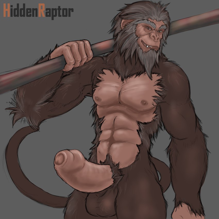 abs anthro balls beard erection facial_hair foreskin genitals humanoid_genitalia humanoid_penis male mature_male nipples nude pecs penis solo staff anthroraptor journey_to_the_west sun_wukong haplorhine mammal monkey primate hi_res