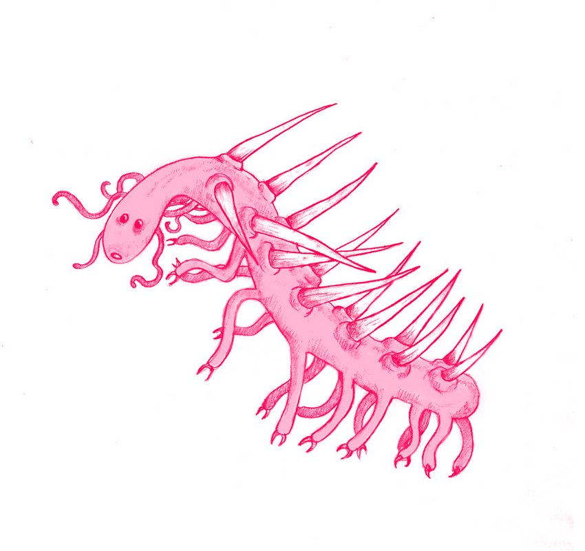 ambiguous_gender dot_eyes feral multi_leg multi_limb pink_body simple_background solo spikes spikes_(anatomy) spines tentacles white_background bluedoodlings hallucigenia lobopod marine worm xenusiid 2020 digital_drawing_(artwork) digital_media_(artwork)